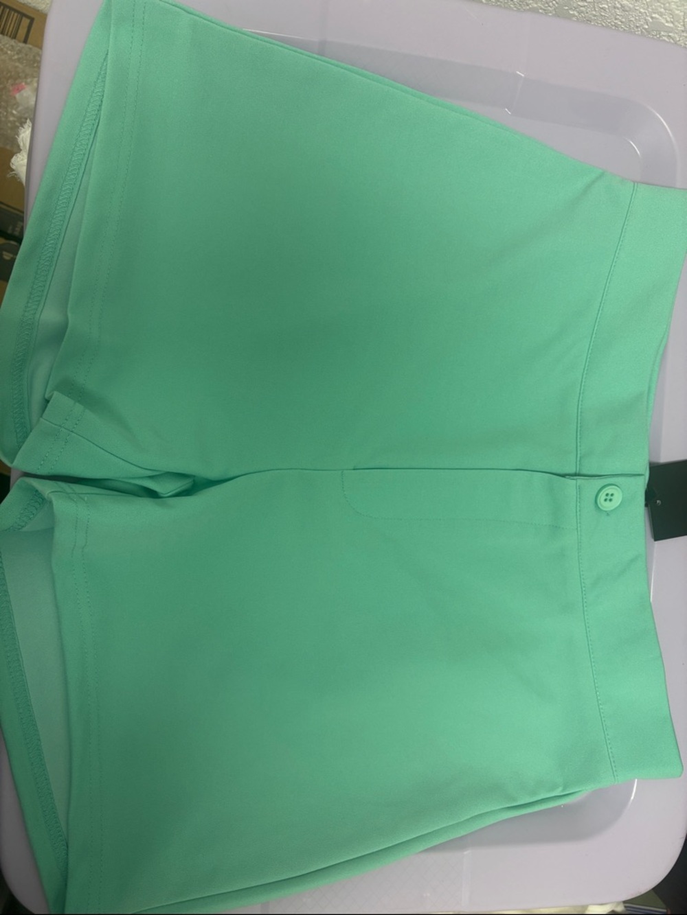 Lucky & Blessed Mint Green High-Waist Shorts